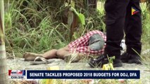 Senate tackles proposed 2018 budgets for DOJ, DFA