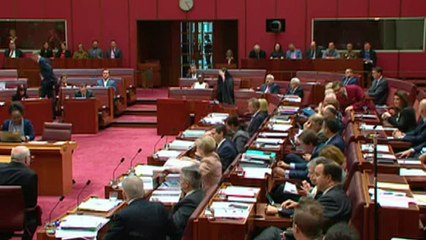 Muslim-baiter Hanson wears burqa in Australia's Senate