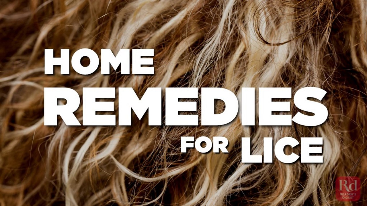 Home Remedies for Lice that Really Work Health & Fitness