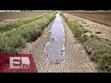 Restringe California consumo de agua por histórica sequía  / Opiniones encontradas