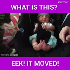 Cats Don’t Get Babies