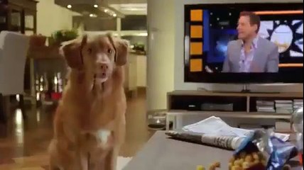 Ha máshogy nem megy... 