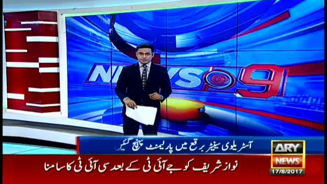 Pauline Hanson wears burqa in Australian Senate