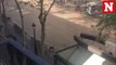 Twitter footage shows debris after van ploughs into crowd in Barcelona