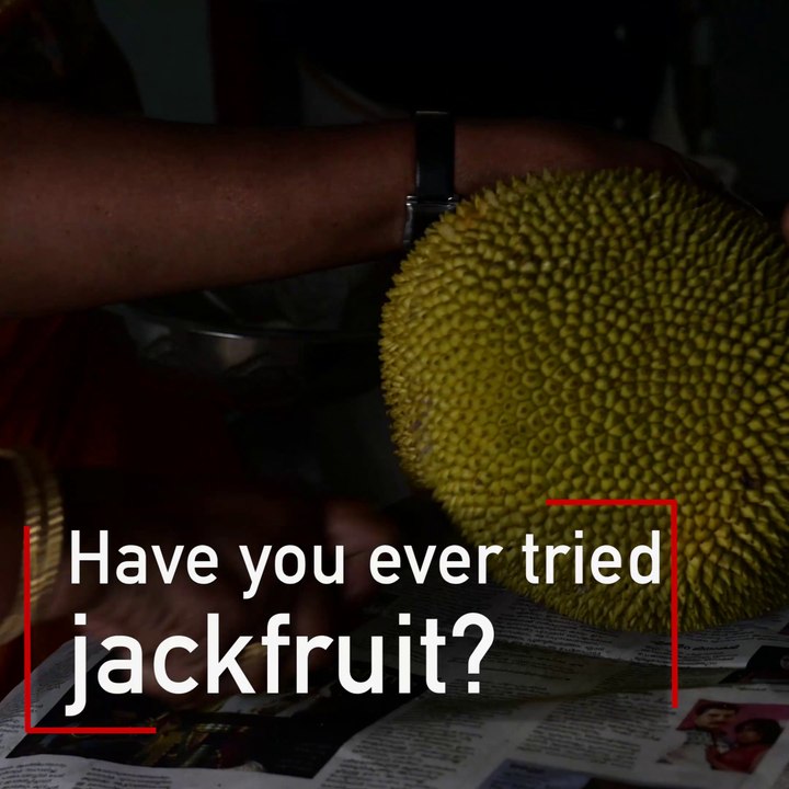 What is a Jackfruit?