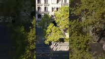 Dos muertos en ataque terrorista en Barcelona