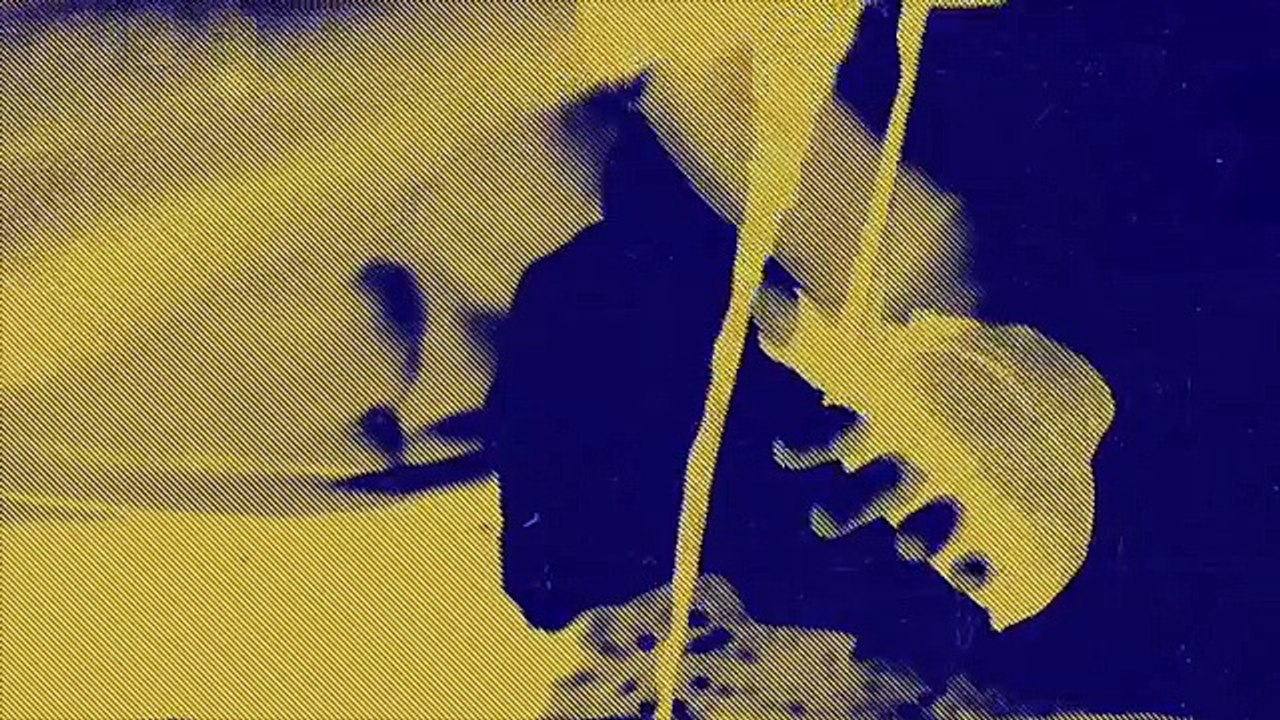 HUNG LIKE A RHINO!! DAVE ALLEN v DAVID HOWE OFFICIAL WEIGH IN & HEAD TO HEAD / HAYE v BELL