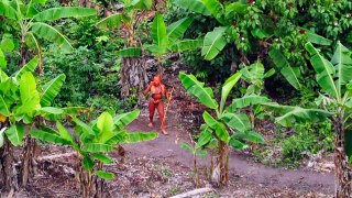 Earths last uncontacted tribes firing bows and arrows on the aircraft