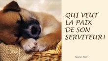 Sans Titre