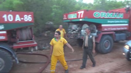 Ayvalık'ta Yangın Sonrası Yürek Yakan Görüntü