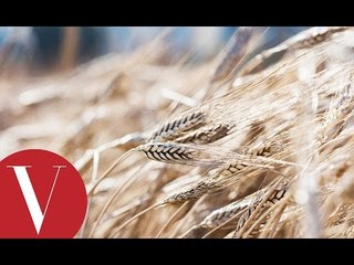 香奈兒《Les Blés de CHANEL》頂級珠寶展 │ 拍攝花絮