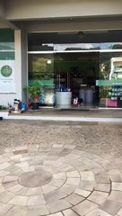 Cachorro Pituco leva sua ração para casa após sair do pet shop