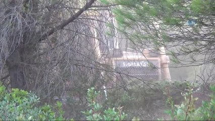 Ayvalık'ta Yangın Sonrası Yürek Yakan Görüntü