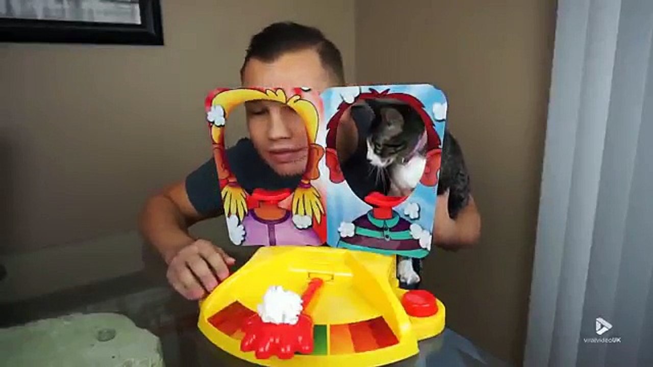 le chat goutte au jeu de la tarte a la crème