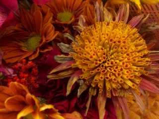 Surah Baqarah Translation &Tafseer part 19