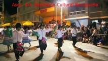 Asociación Artistica Expresión Cultural Borogueña Tacna - Carnavales 2015