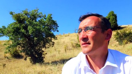 Ali Seven - Susuz Baharlar