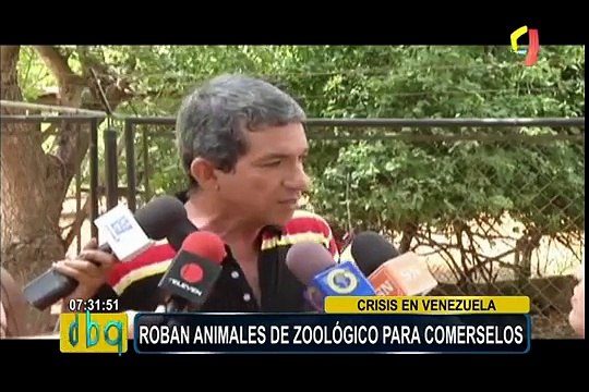 Venezuela: roban animales de zoológicos para comérselos