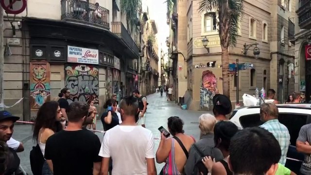 Eyewitnesses describe moment van mowed down tourists