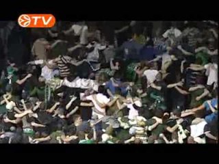 Olimpija Fans