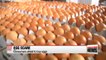 Fears of pesticide-contaminated eggs growing in Korea