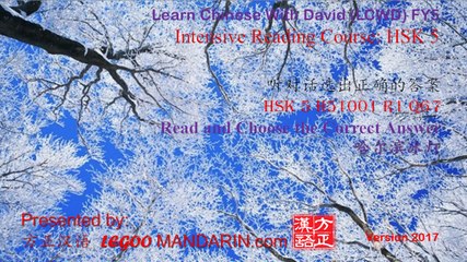 HSK 5 H51001 R2 Q67 哈尔滨冰灯Harbin ice lamp Festival P1- trimmed