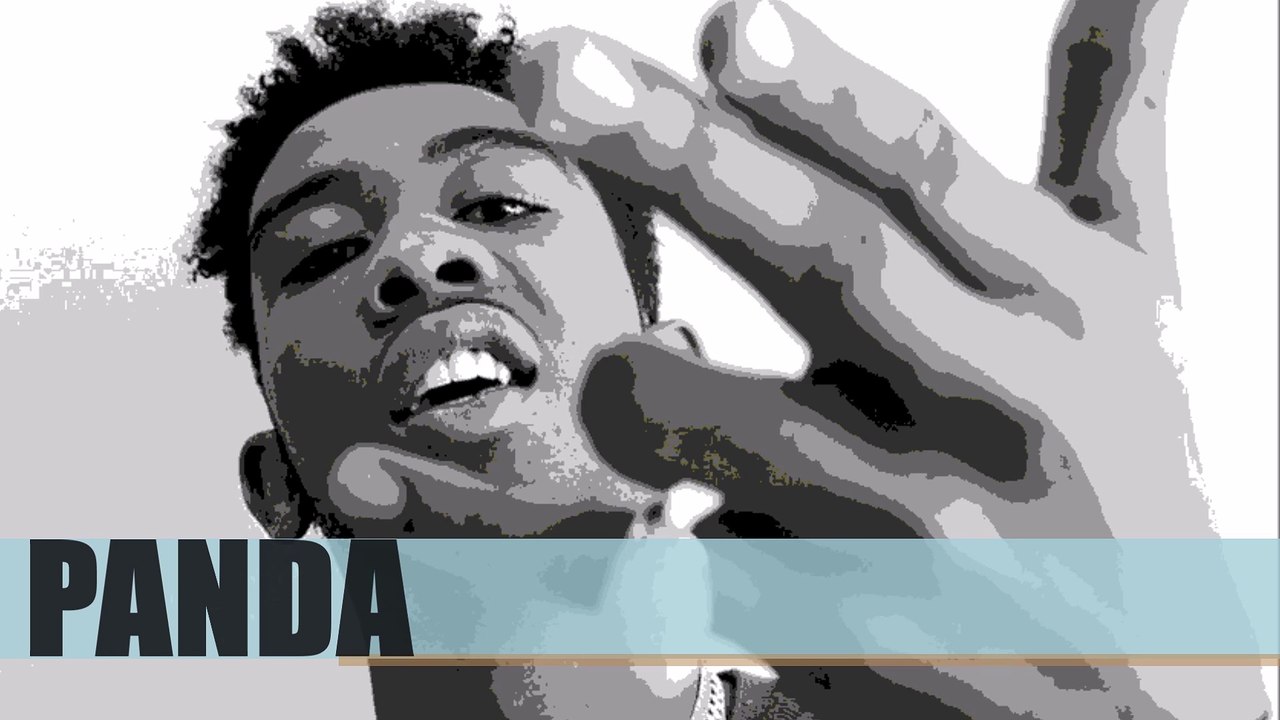 Desiigner - Panda remake