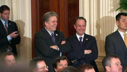 Steve Bannon: Embattled chief strategist out of Team Trump