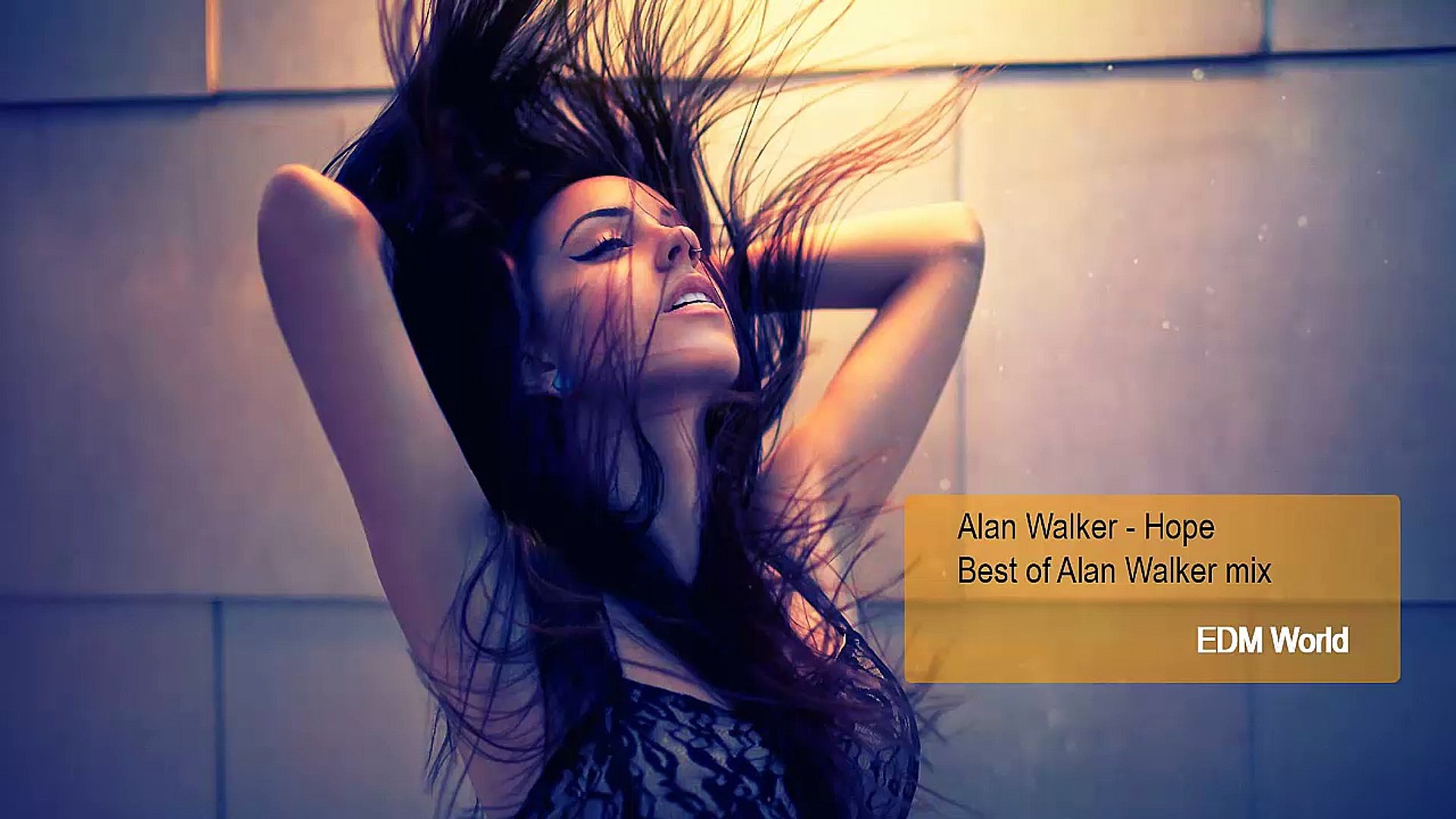 Alan Walker Hope Video Dailymotion