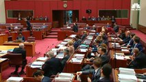 Australian Senator Wears Burqa In Parliament To Push For Ban _ NBC News