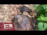 Hallan cuerpo momificado en el Bosque de Chapultepec / Vianey Esquinca