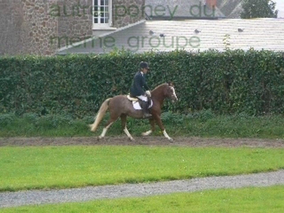 Concours modèles et allures de Normandie