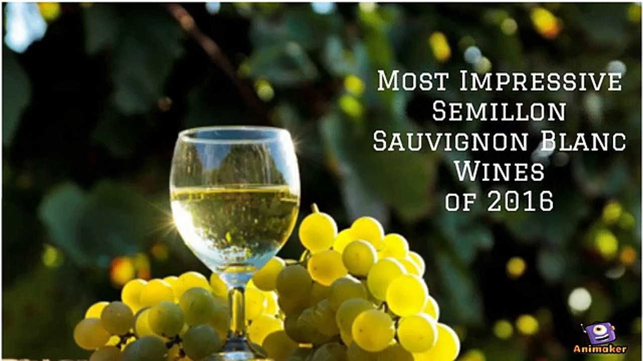Most Impressive Semillon Sauvignon Blanc Wines of 2016