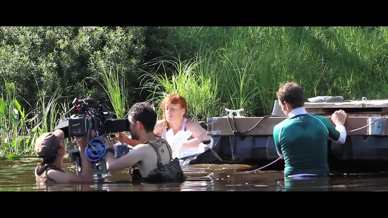 Blood Stripe - BTS