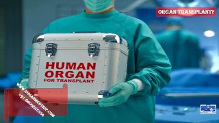 What is Organ Transplant