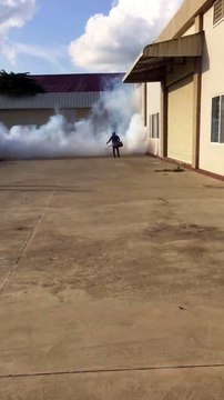 Pest Control in Sydney - Termite Inspection & Treatment