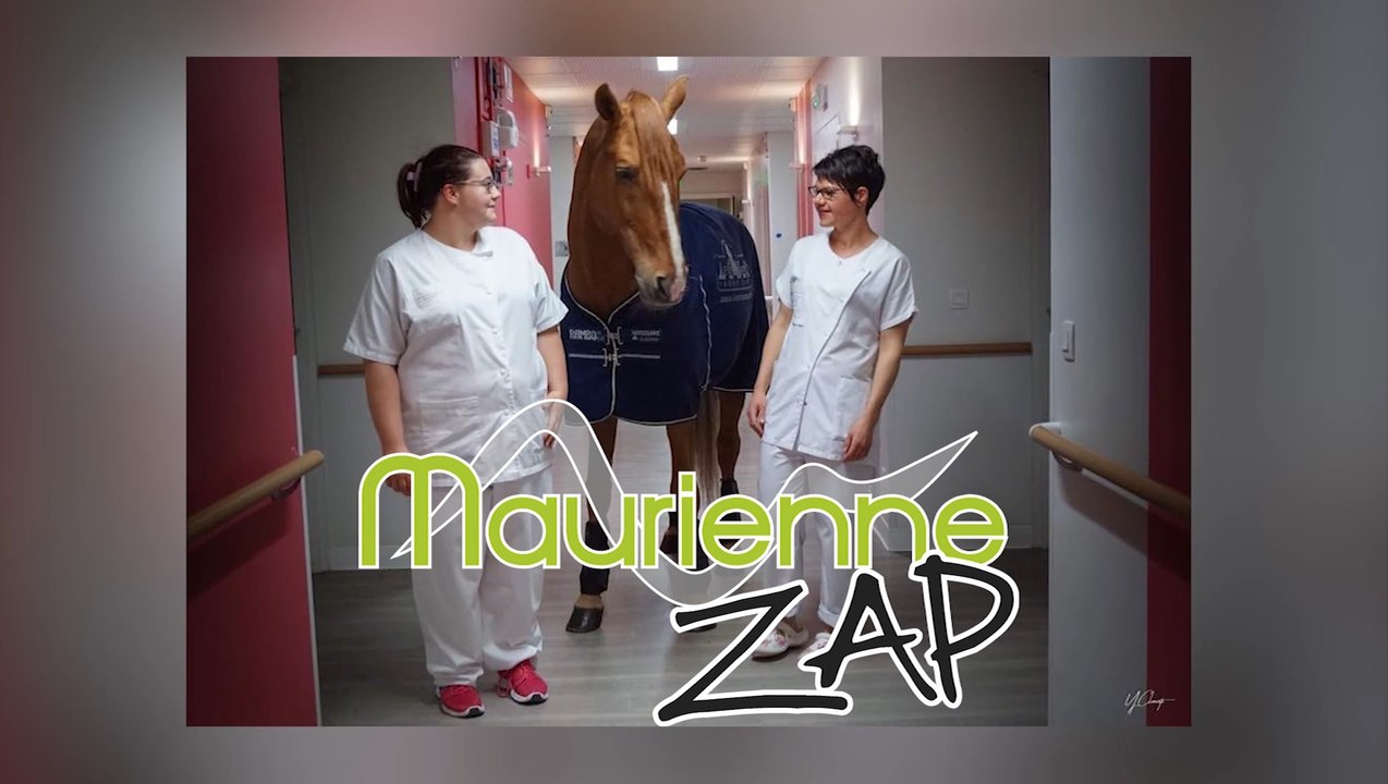 Maurienne Zap # 349