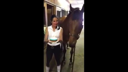 Doğum Günü Pastasındaki Mumları Söndüren At