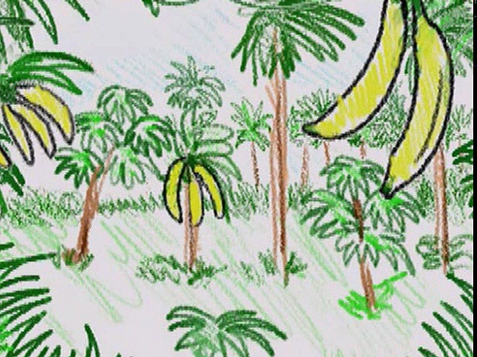 Baby Einstein 21BE WORLD ANIMALS