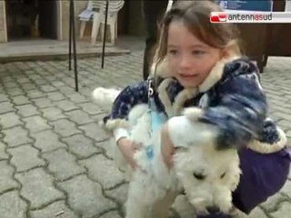 TG 16.11.11 Adozioni e microchip alla "festa del cane" a Palo del Colle