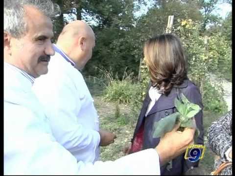 ORSARA DI PUGLIA | Peppe Zullo: musica nuova nell'orto