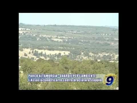 PARCO ALTAMURGIA - GUARDIE PER L'AMBIENTE | L'Associazione ricorre contro bruciatura stoppie