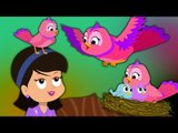 Chidiya Rani - Hindi Poem - kids rhymes - Hindi Rhymes - Nursery Song - Hindi Poems - Toddler Songs