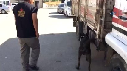 Van'da 44 Kilo 620 Gram Eroin Ele Geçirildi