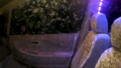 Une armée de moustiques dans une voiture