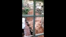 Des inondations impressionnantes forment des torrents de boue spectaculaires en Sierra Leone