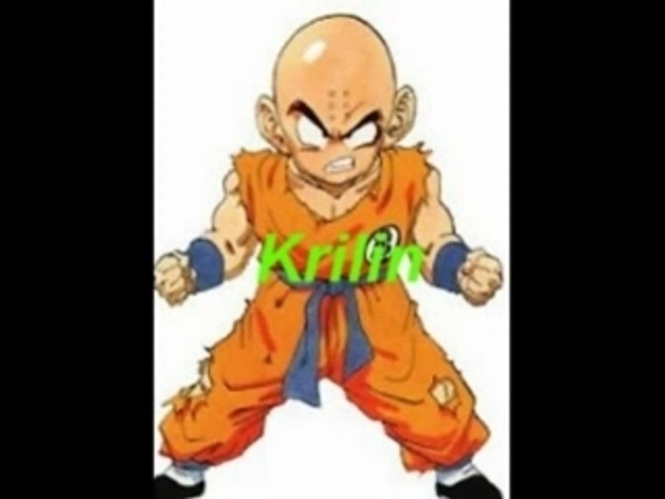 Montage DBZ