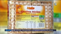 Fipronil : des gaufres contaminées vendues en France