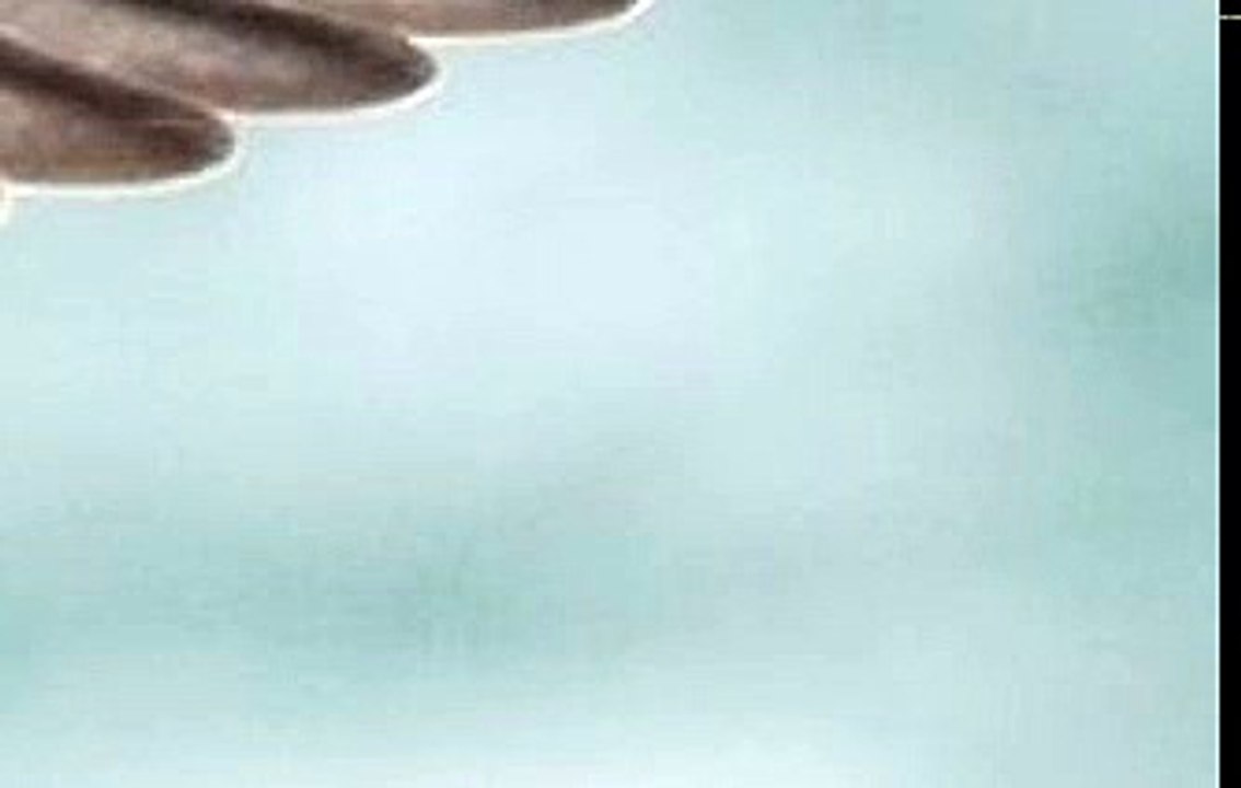 Something Else Every Girl Needs To Hear (A Response To What Every Girl Needs To Hear By Laurne Southern)