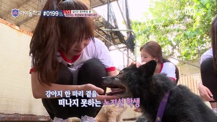 [5회]강아지들과 함께 보내는 힐링타임♡ 학생들의 깜짝 봉사활동!